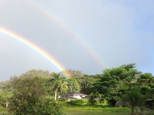 カウアイ島から、明けましておめでとうございます