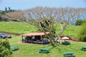 牧草地に吹く風も気持ちのよい、パン作り体験でした