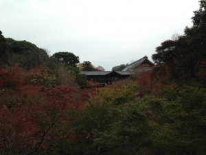 赤い紅葉はまばらだった東福寺