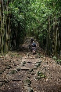 竹林の入口