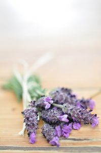 可憐なラベンダーの花束