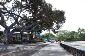 カイルア・コナの街並み