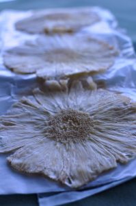 見た目もかわいい、おいしいドライ・シュガーローフ・パイナップル