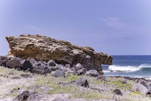 ポーハク・オ・カウアイ（オアフ島）