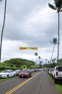 タロ・フェスティバルの日は、いつも静かなハナが車でいっぱいです