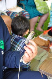 ハラの葉で作るブレスレットのワークショップ