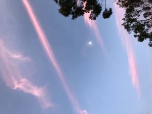 雨が上がった空に夕暮れの気配が漂い始めた