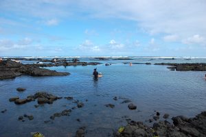 海洋保護区だったカポホ・タイドプールズ