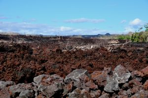 2018年に流出した溶岩が広がる。遠くに噴石丘が見える