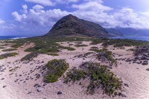 岬の突端左右に海を望める