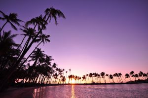 アナエホオマル・ビーチの夕暮れ。この写真は以前のもので、現在ヤシの木は少なめ