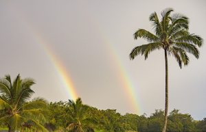 ロコワカ・ポンドのダブルレインボー（ハワイ島）