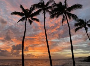 場所によって夕陽の色がうんと違う。これは島の南、この日の夕陽がゴールデンオレンジでした