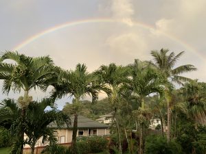 最近はいちだんと虹が架かることが多くなりました。 これは朝、キッチンの窓から見た大きく半円を描く虹