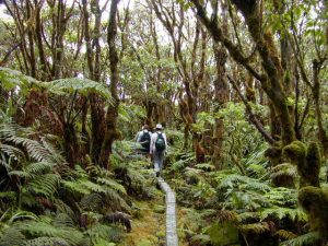 カマコウ自然保護区でネイチャー・コンサーバンシーのツアーに参加