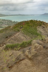 トレイルの風景