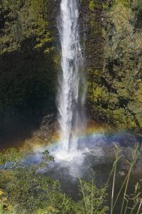 滝壺に架かる虹