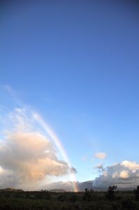 ホオキパ・ビーチの展望台付近から見た大きな虹。ここでも虹を何度も見たことがあります
