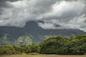 ワイアルアの自然