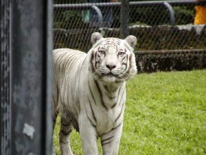 在りし日のナマステ